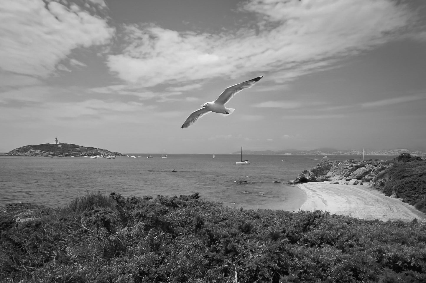 Goéland en vol au-dessus d’une crique avec le phare du grand rouveau au loin, noir et blanc