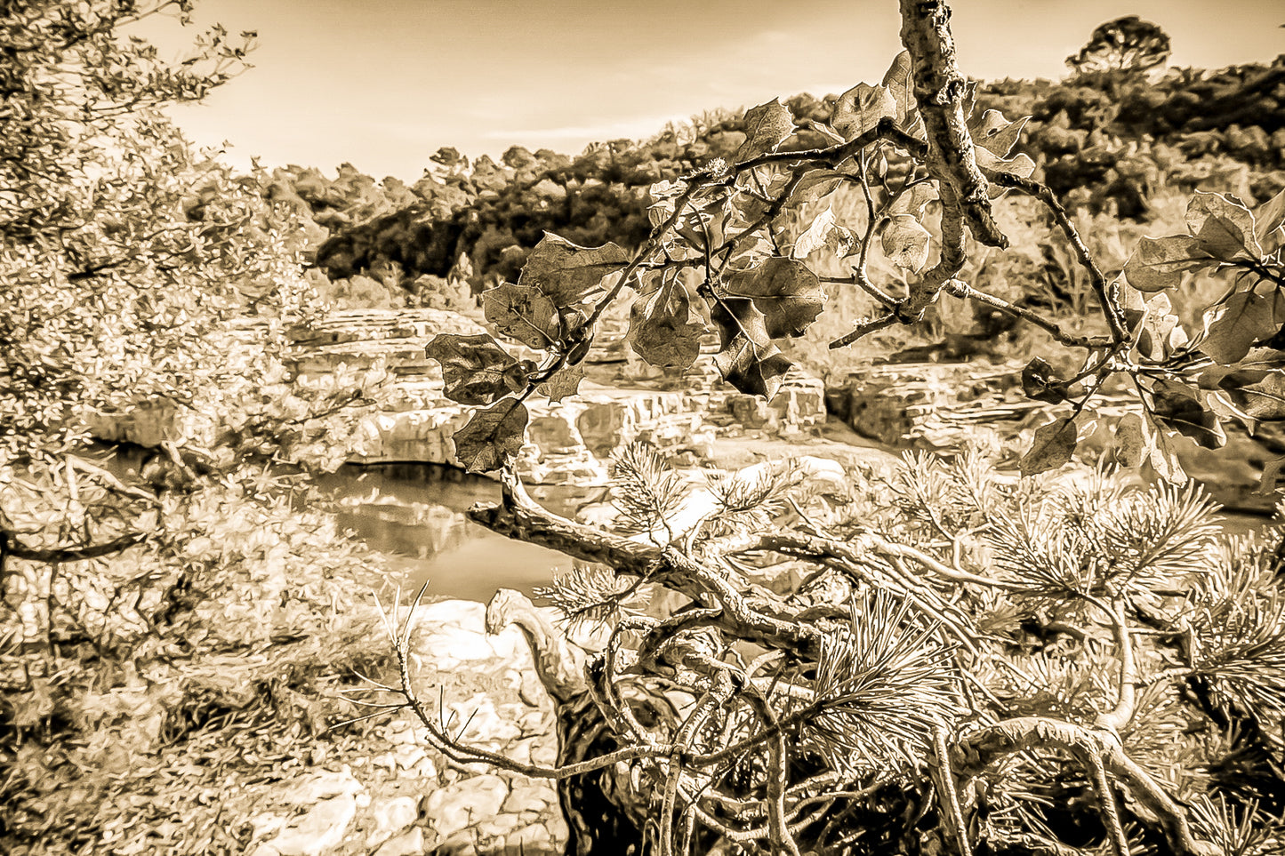 Branches de chêne et de pin en premier plan, vasques turquoise et roches du Sautadet en arrière-plan, vintage