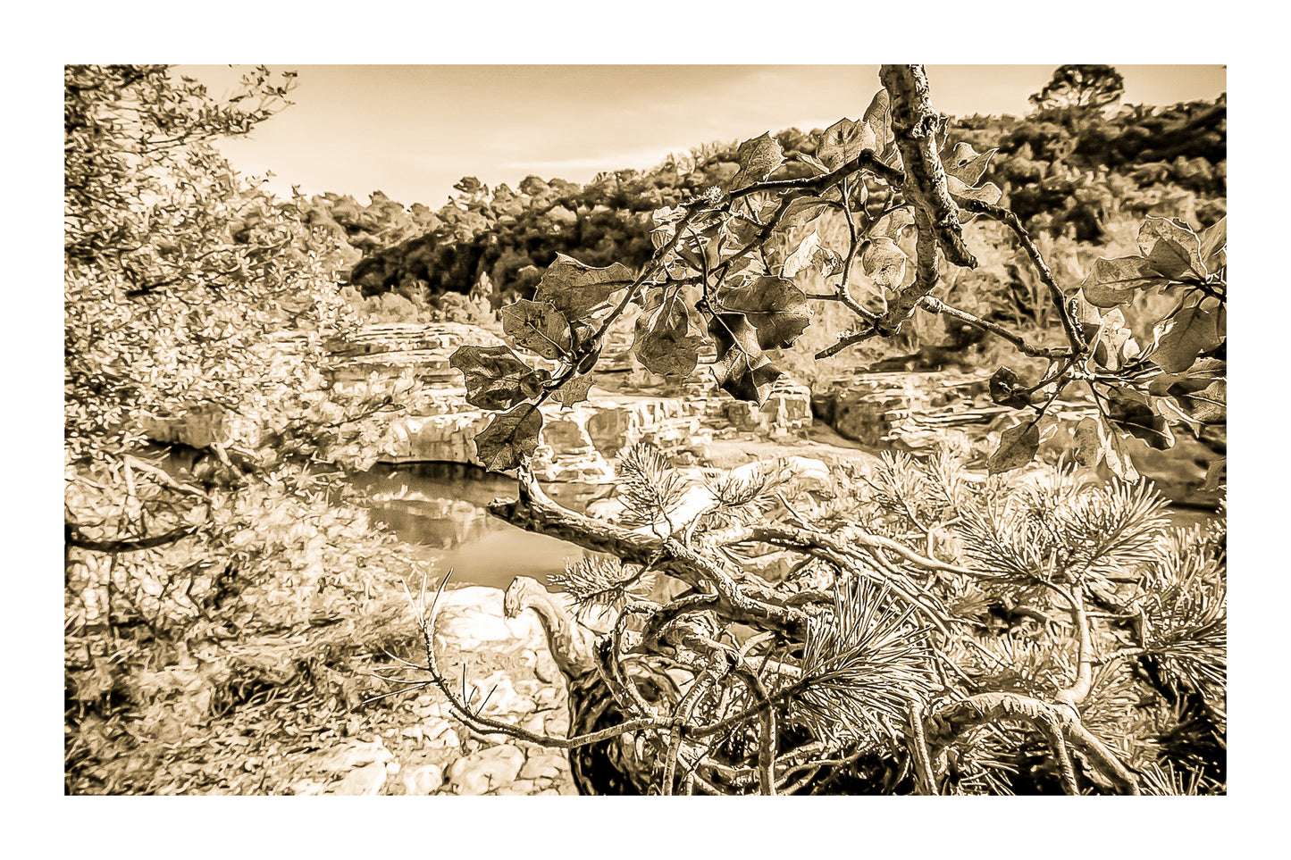 Branches de chêne et de pin en premier plan, vasques turquoise et roches du Sautadet en arrière-plan, vintage avec bordure