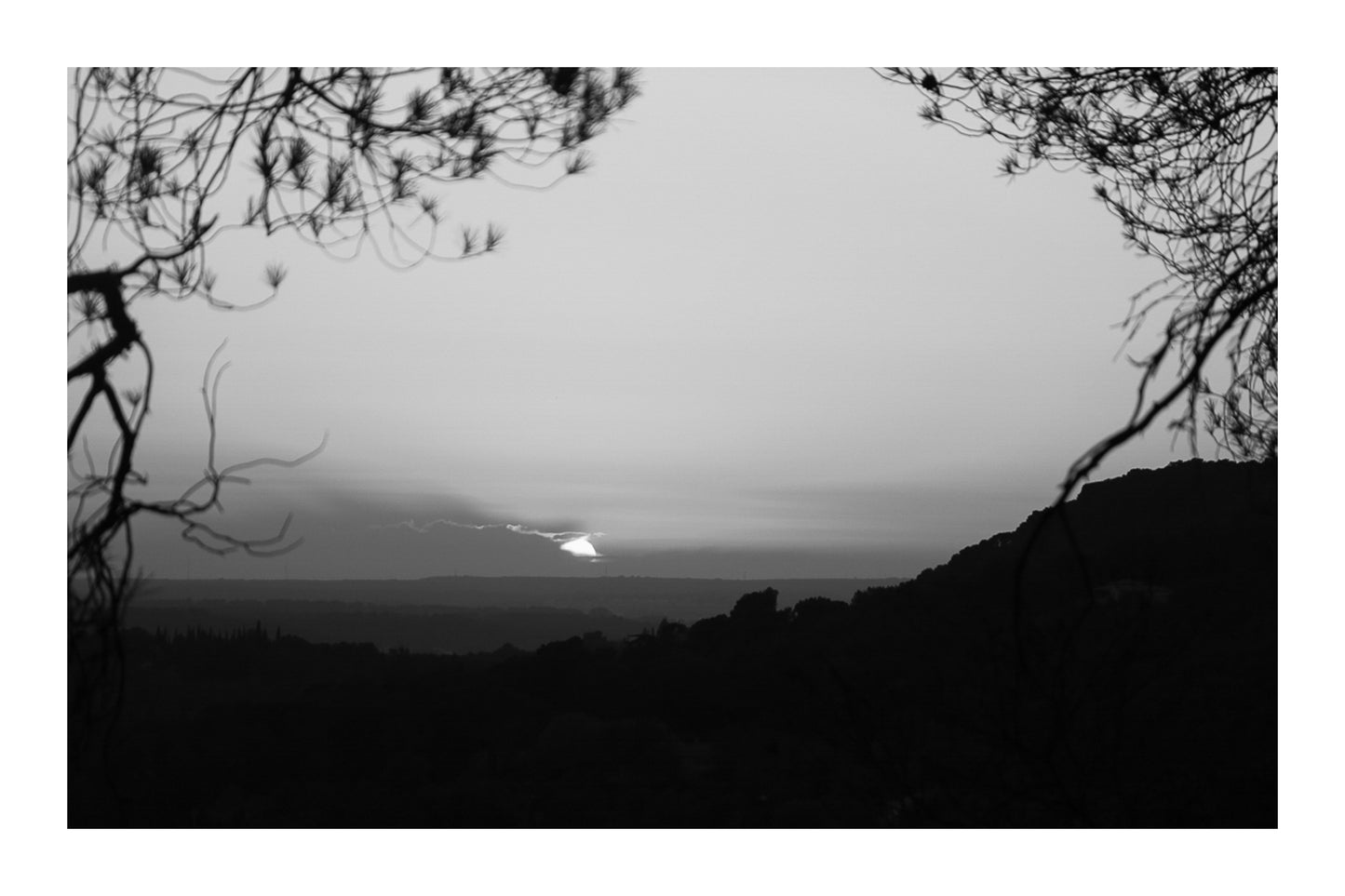 Disque solaire disparaissant derrière un lointain nuage, encadré par des branches à Bibemus, noir et blanc avec bordure