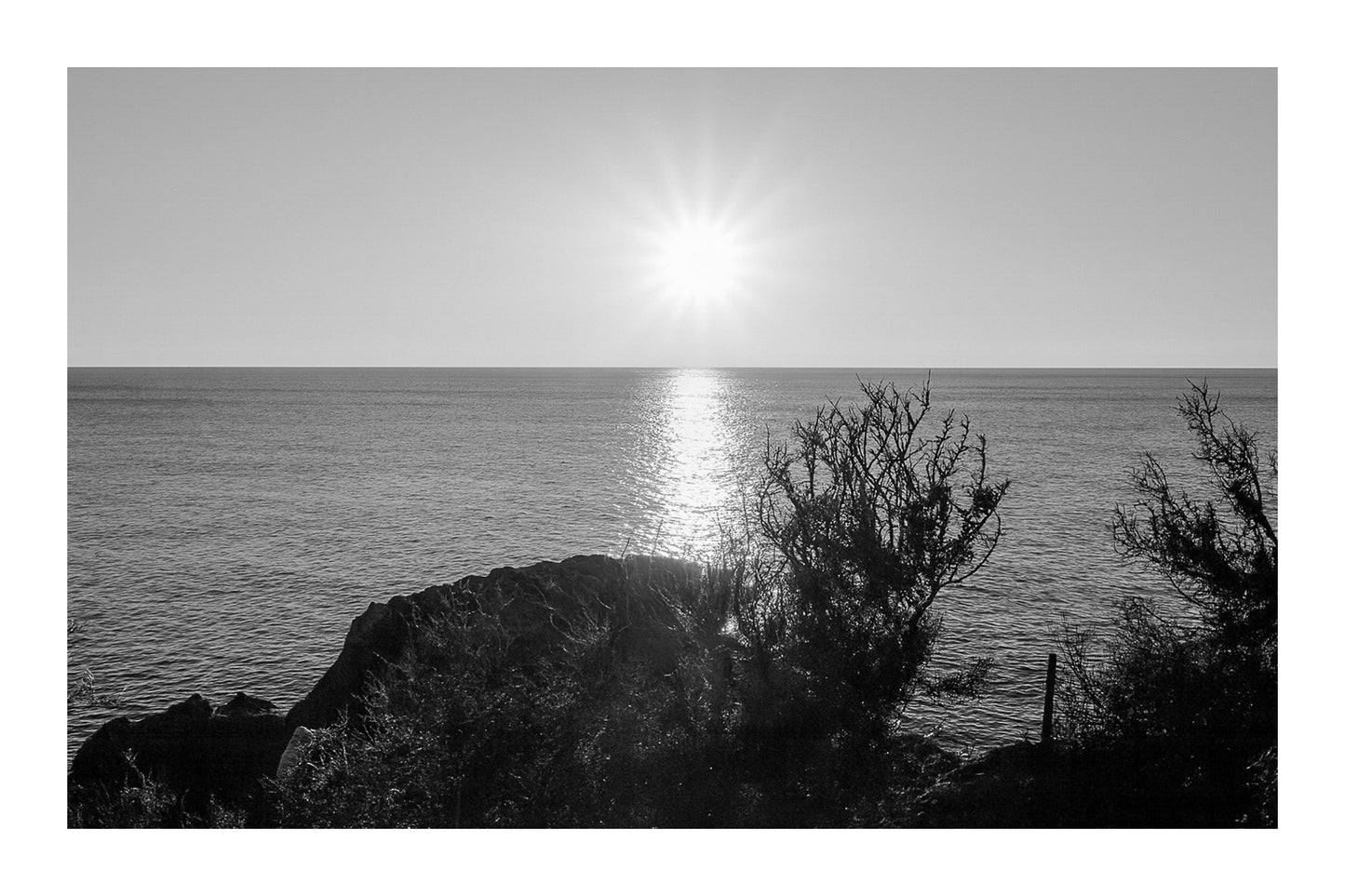soleil bas sur la Méditerranée cadré par la végétation du littoral à Carry-le-Rouet, noir et blanc avec bordure