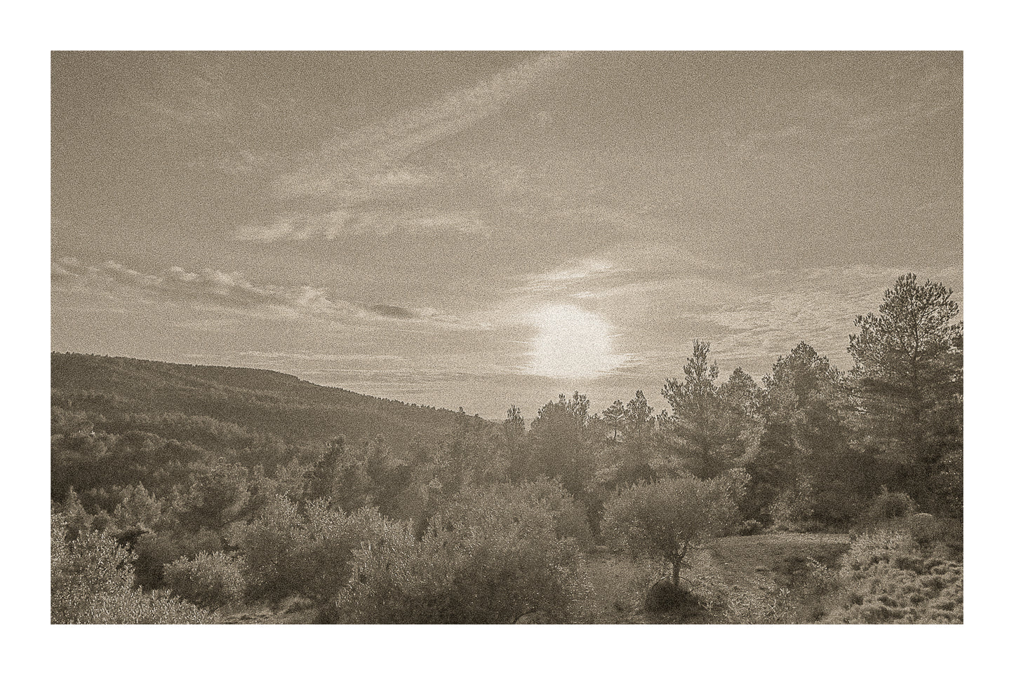 Chemin de garrigue au crépuscule, soleil bas dans un ciel orangé éclairant les buissons et les collines lointaines, vintage avec bordure