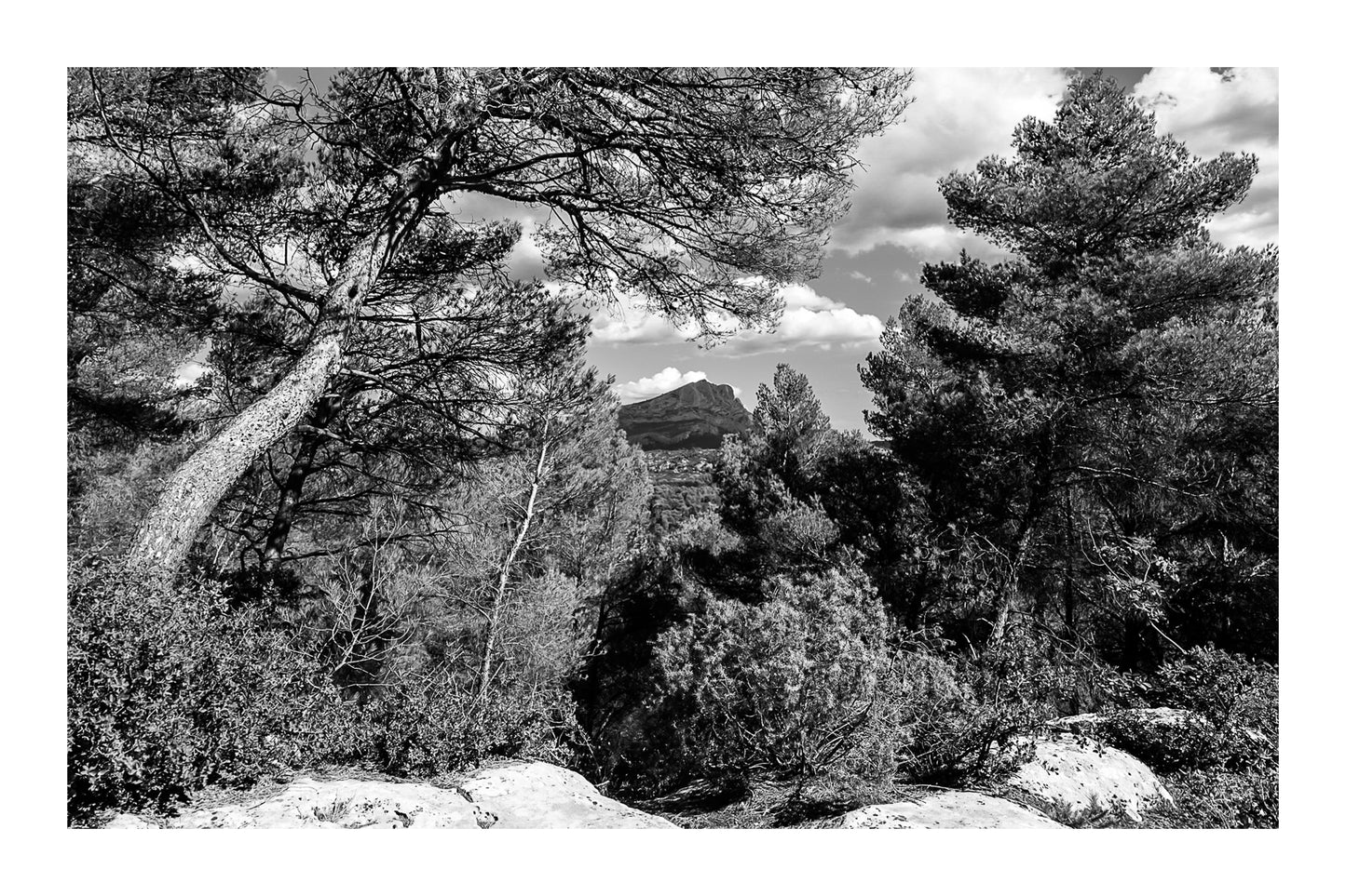 Vue lointaine de la Sainte-Victoire cadrée par des pins et des rochers en premier plan, noir et blanc avec bordure