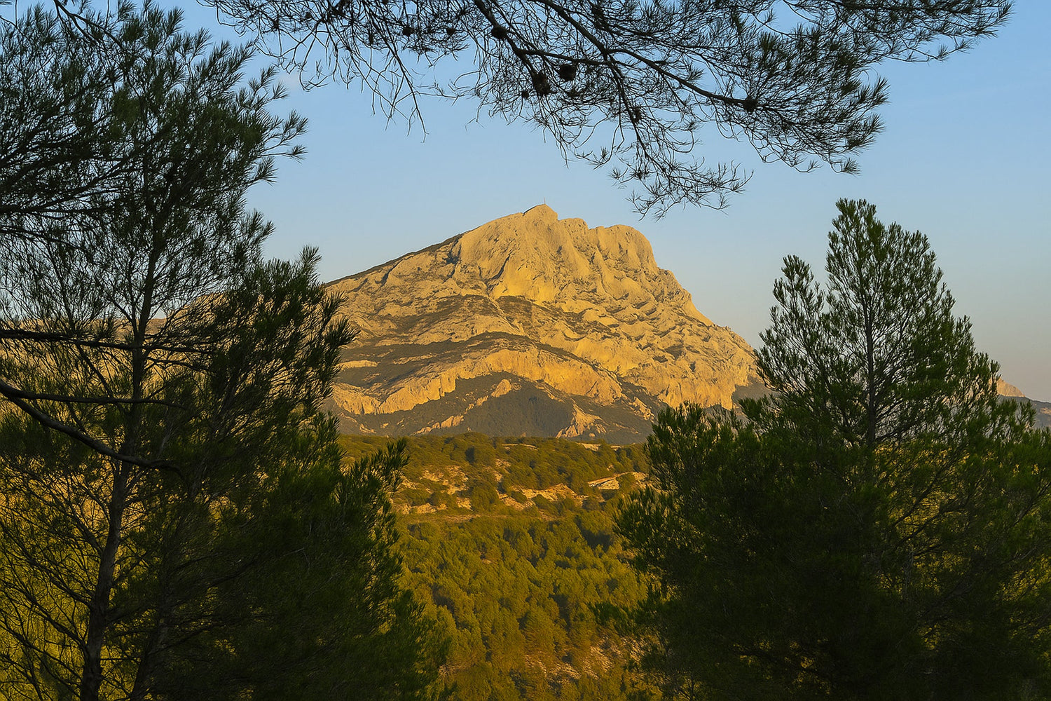 Sainte-Victoire dorée – Lumières de fin d’après-midi