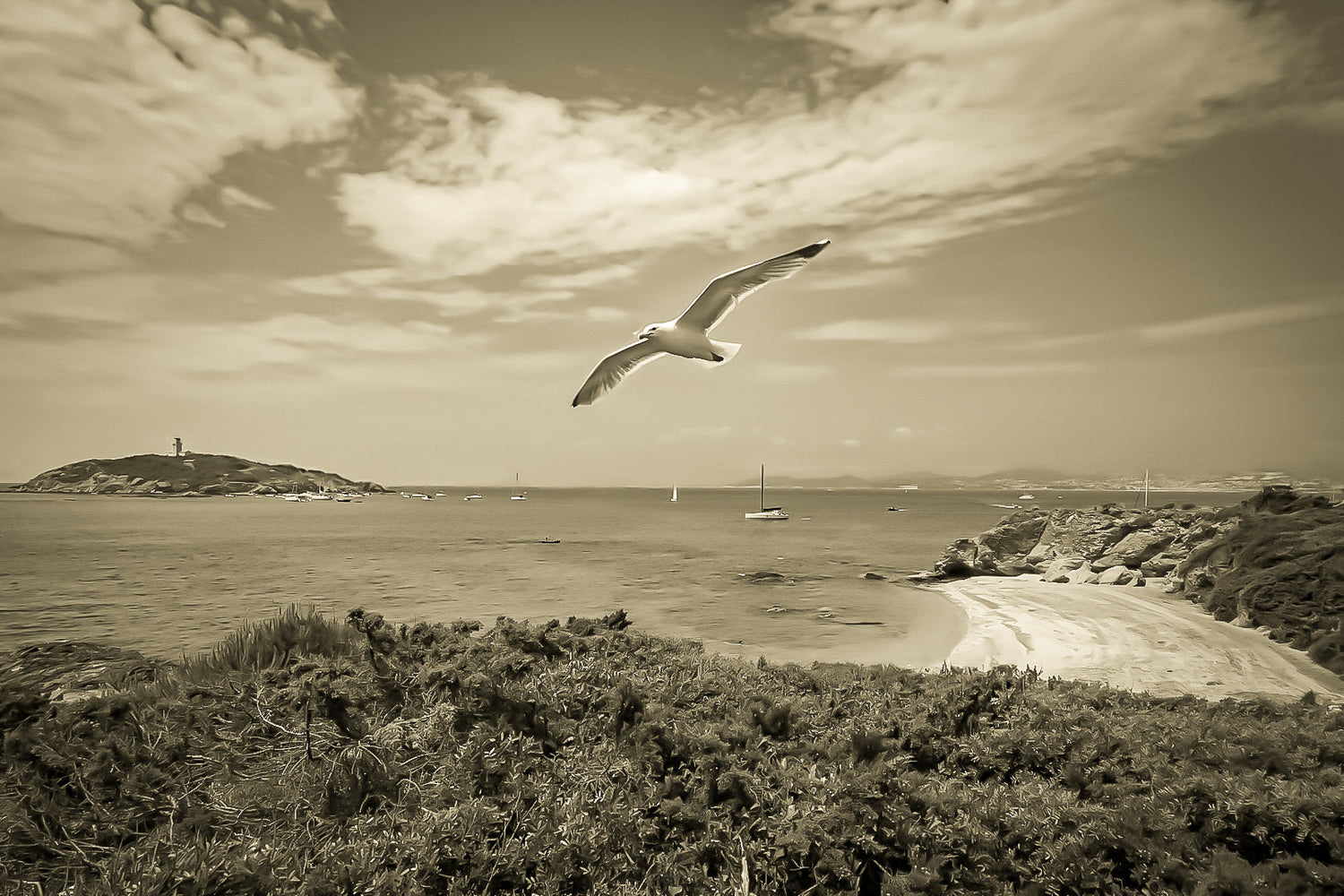 Archipel des Embiez – Mémoire salée en sépia