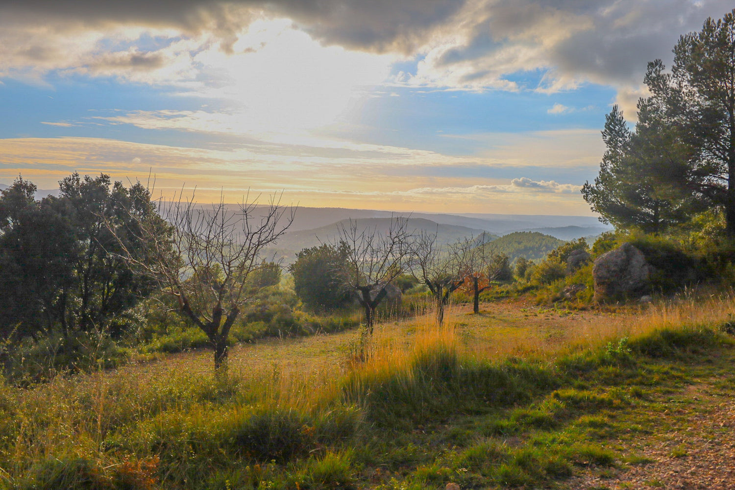 Lumières de Sainte-Victoire – Sur les pas de Cézanne