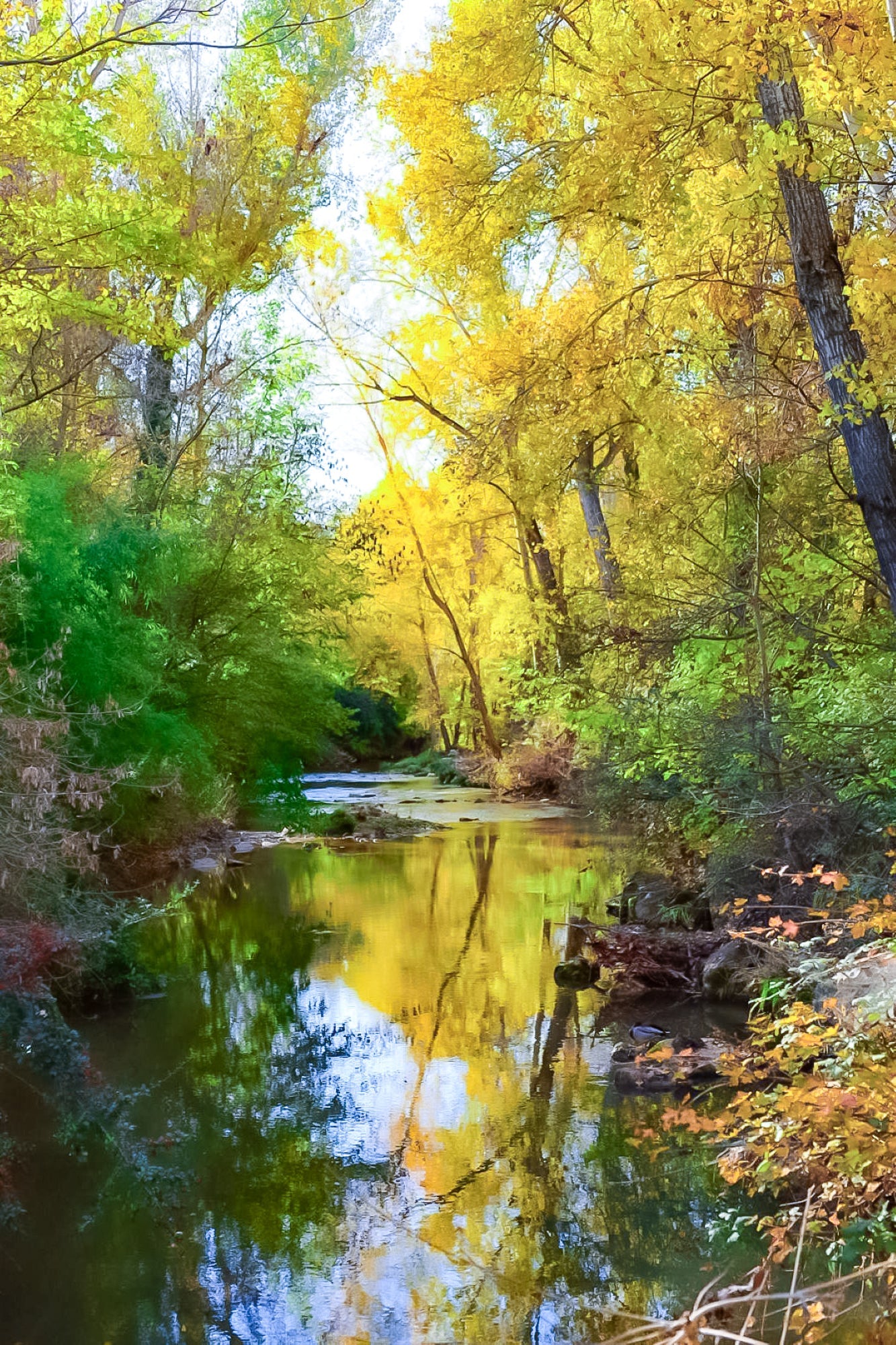 Balade au fil de l’Arc à Aix-en-Provence