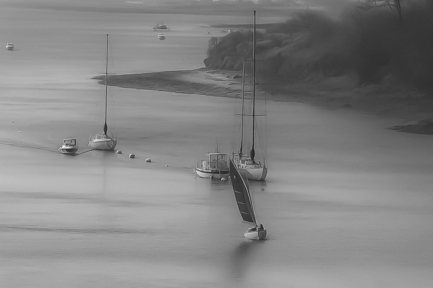 Voile rouge naviguant le long d’une file de bateaux au mouillage, noir et blanc