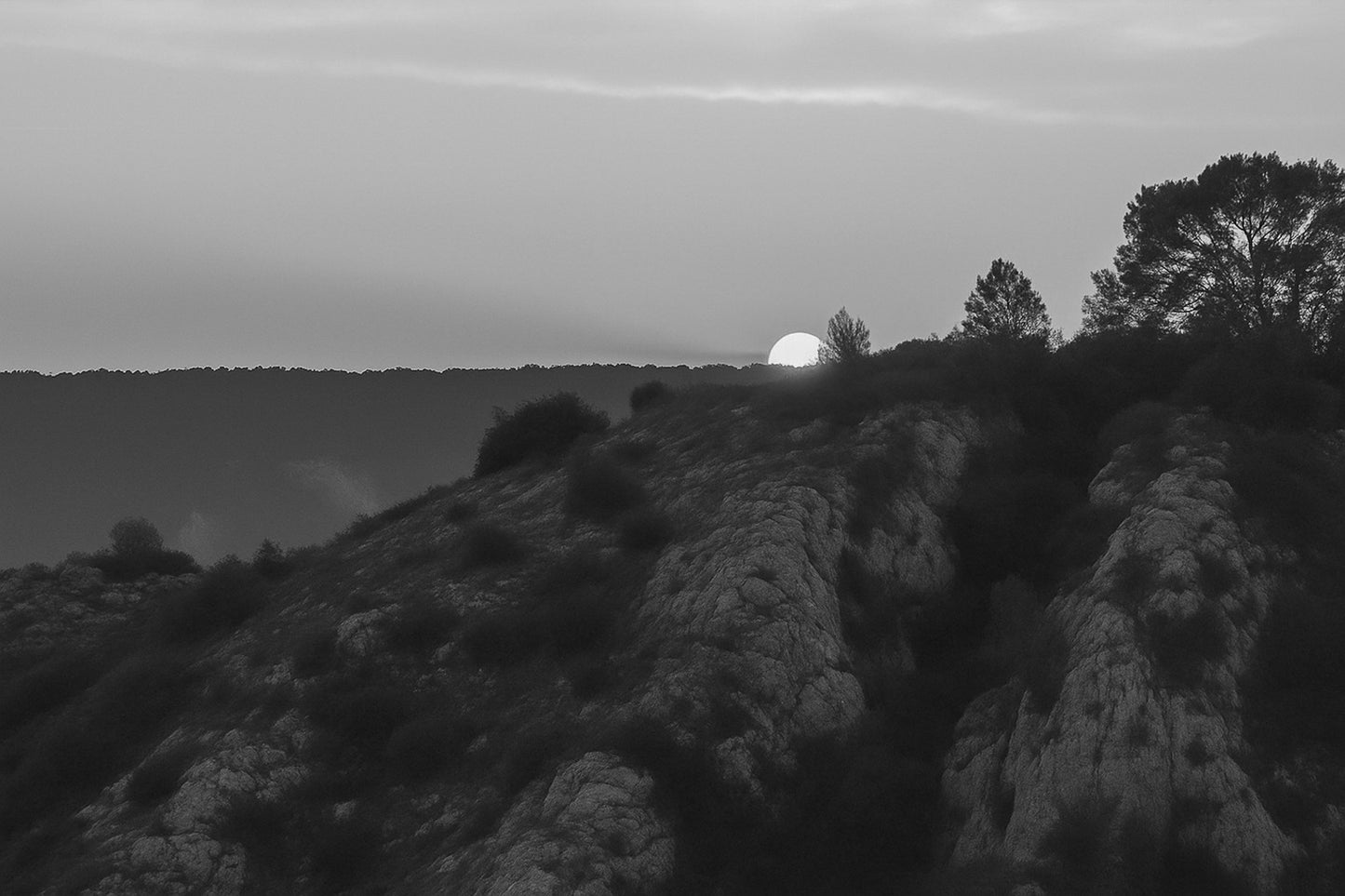Demi-soleil disparaissant derrière une crête et des pins, ciel incandescent au barrage de Bimont, noir et blanc