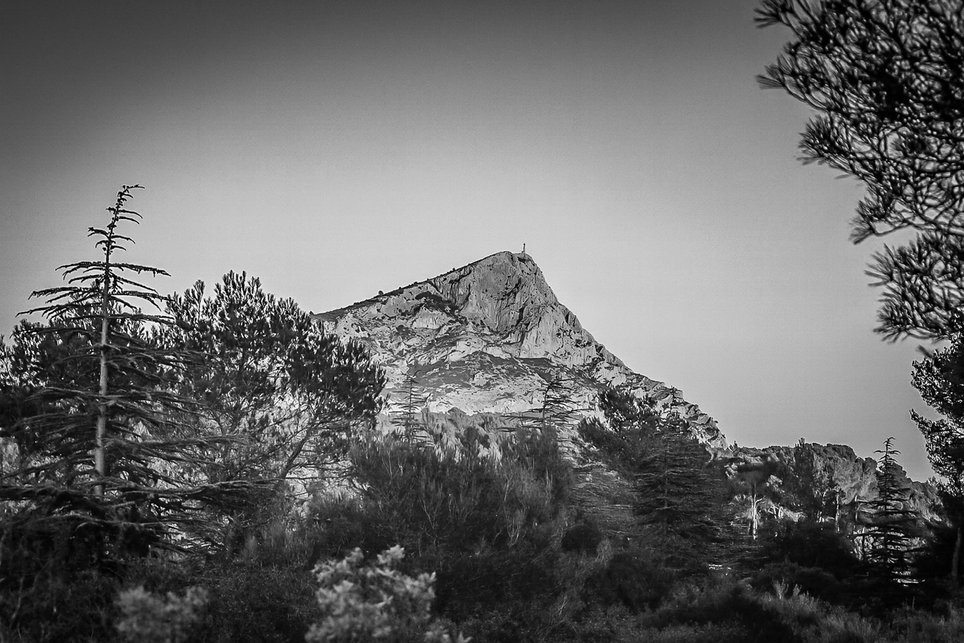Montagne Sainte-Victoire illuminée par le soleil couchant derrière une forêt de pins en Provence, version noir et blanc