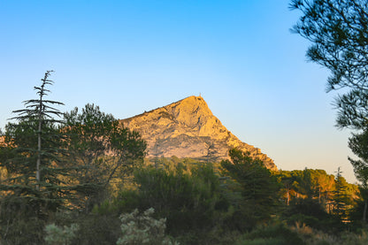 Montagne Sainte-Victoire illuminée par le soleil couchant derrière une forêt de pins en Provence