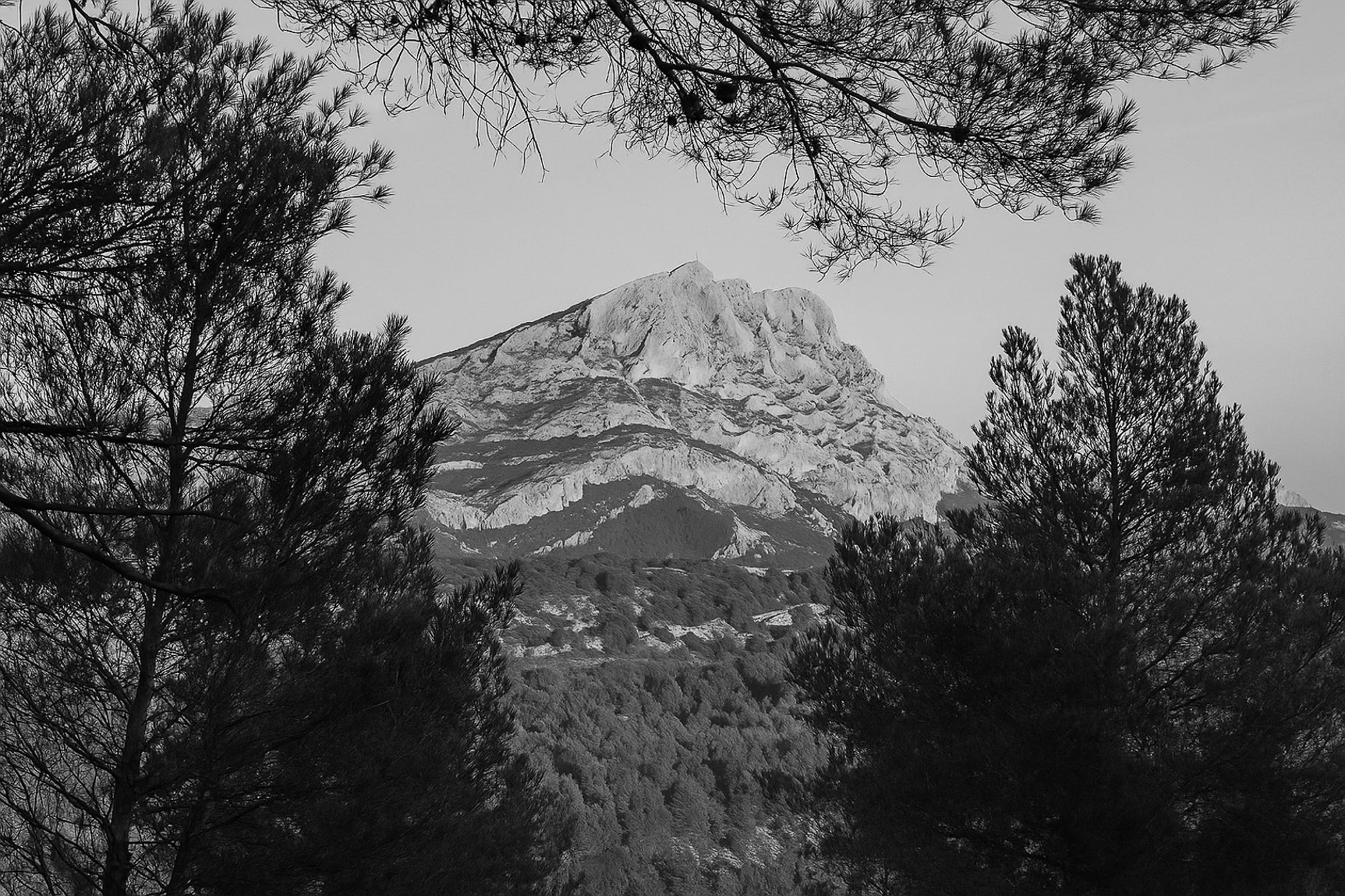 Massif de la Sainte-Victoire baigné de lumière dorée et encadré par des pins à l’avant-plan, noir et blanc