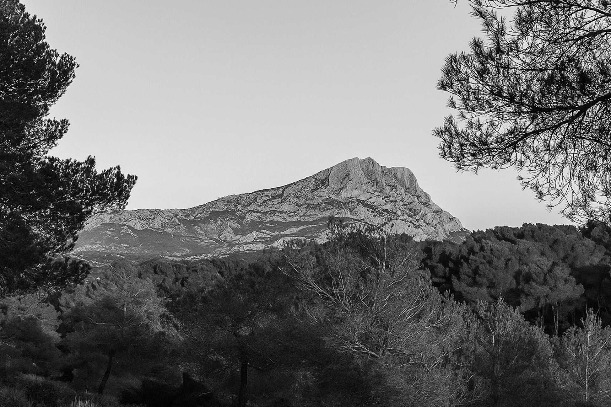 Panorama de la montagne Sainte-Victoire et de la forêt de pins sous une lumière chaude de fin de journée, noir et blanc