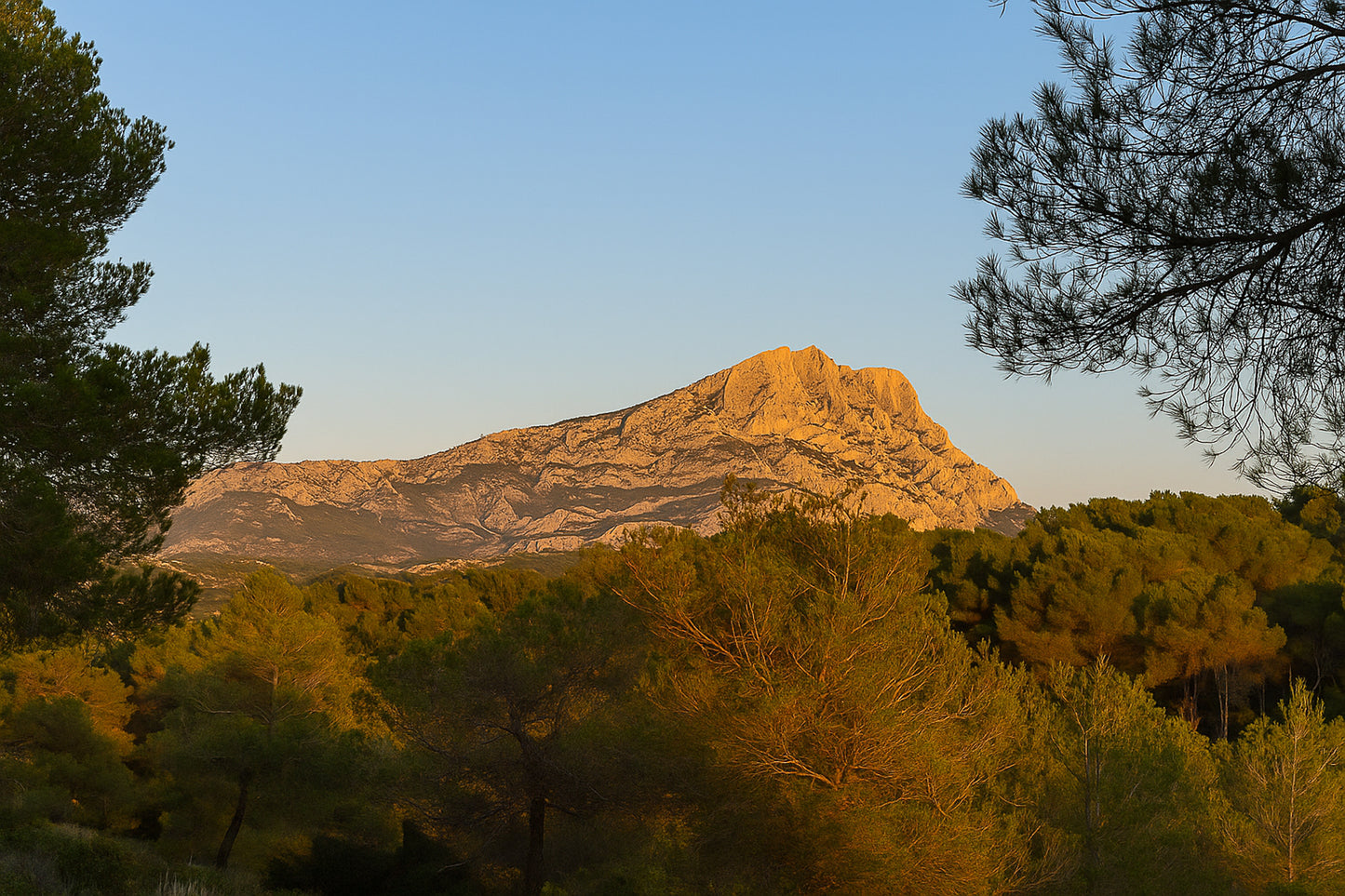 Panorama de la montagne Sainte-Victoire et de la forêt de pins sous une lumière chaude de fin de journée