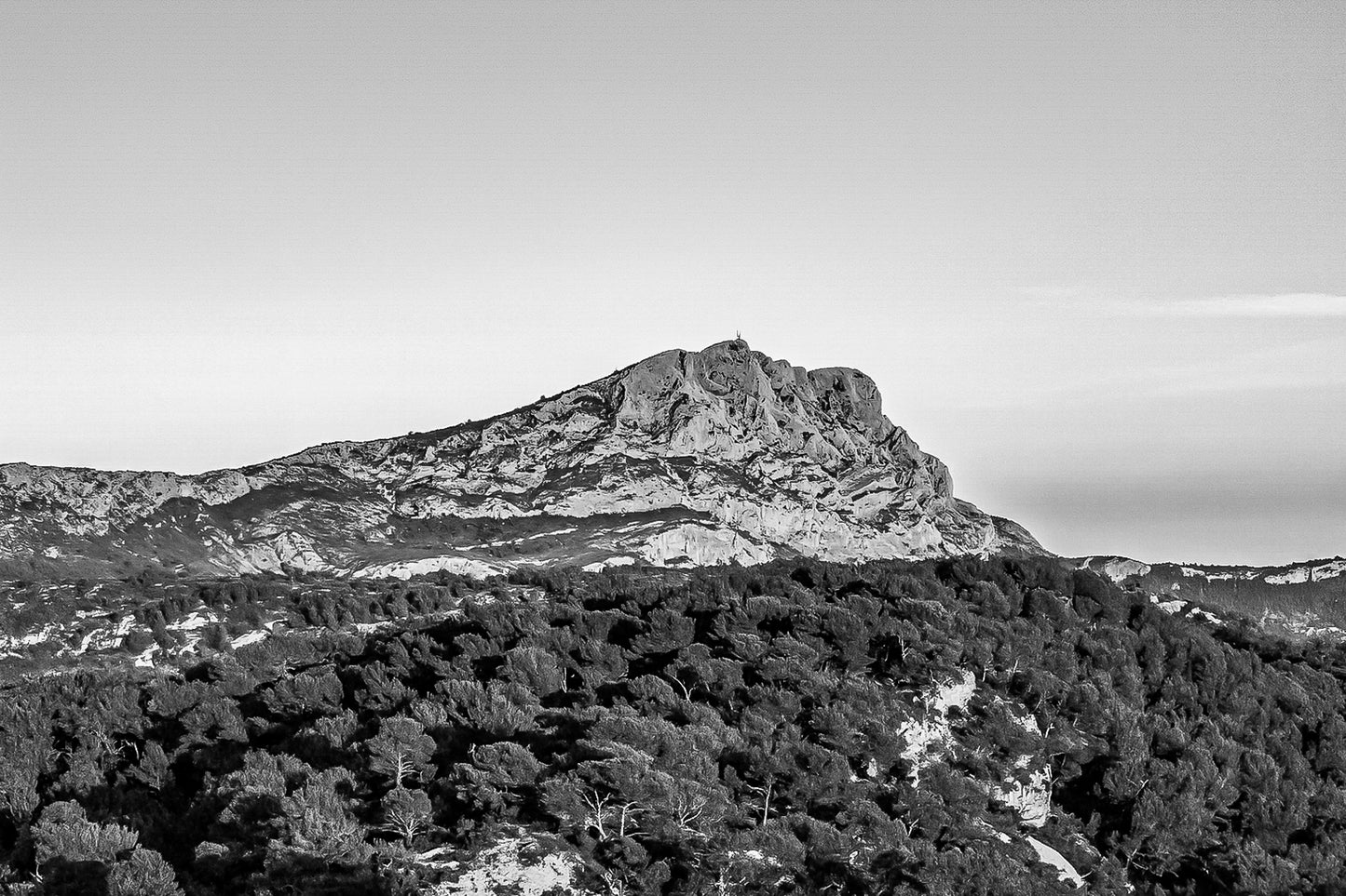Crête de la Sainte-Victoire entièrement dorée par le soleil au-dessus d’une mer de pins, noir et blanc