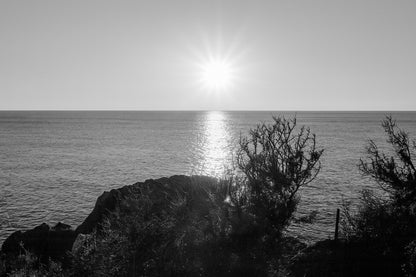 soleil bas sur la Méditerranée cadré par la végétation du littoral à Carry-le-Rouet, noir et blanc