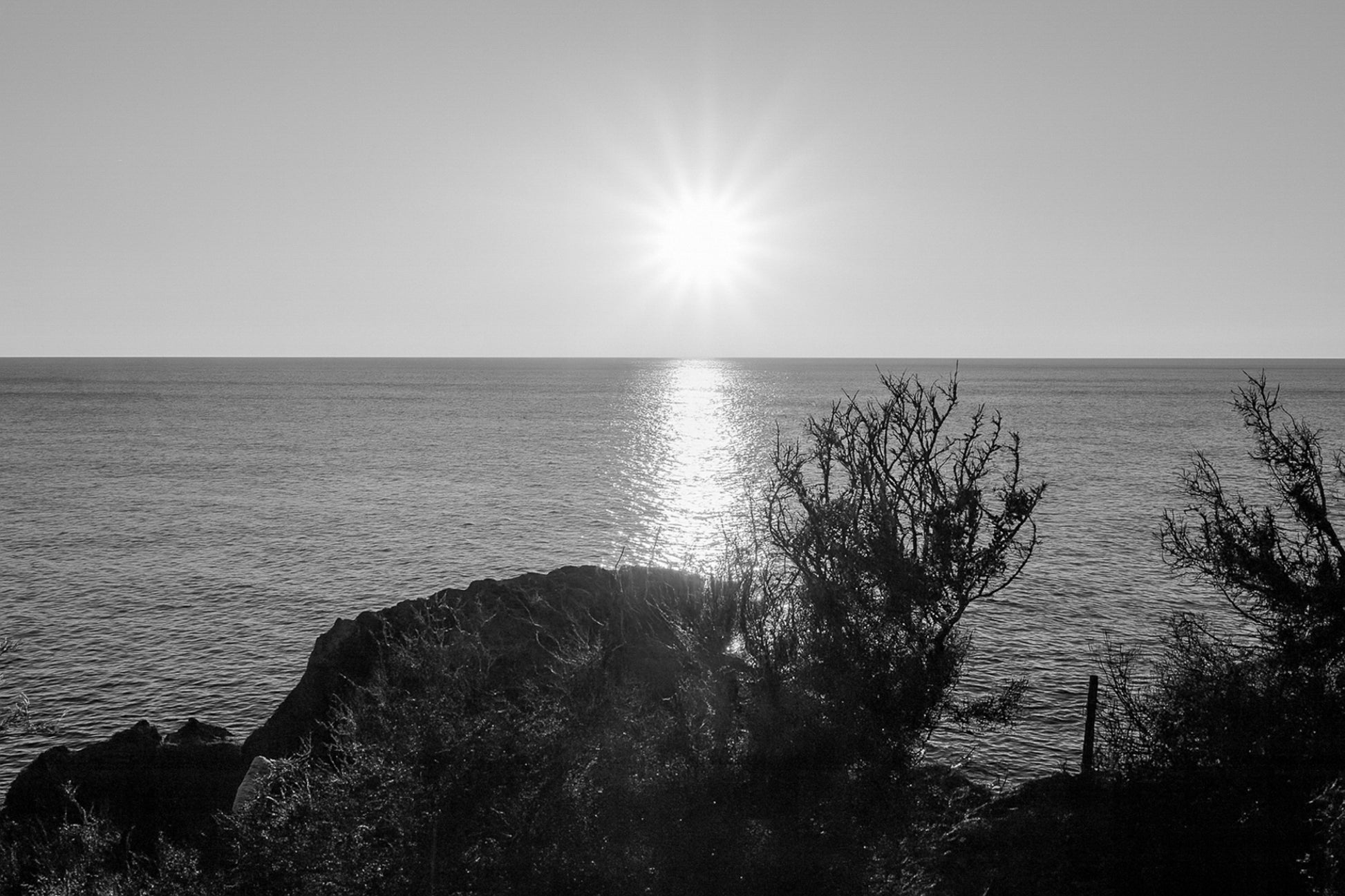 soleil bas sur la Méditerranée cadré par la végétation du littoral à Carry-le-Rouet, noir et blanc