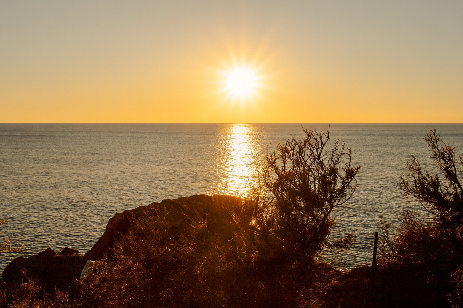 soleil bas sur la Méditerranée cadré par la végétation du littoral à Carry-le-Rouet
