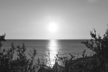 disque solaire brillant au-dessus d’une mer calme vu à travers les arbustes du rivage de Carry-le-Rouet, noir et blanc