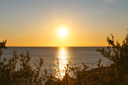 disque solaire brillant au-dessus d’une mer calme vu à travers les arbustes du rivage de Carry-le-Rouet