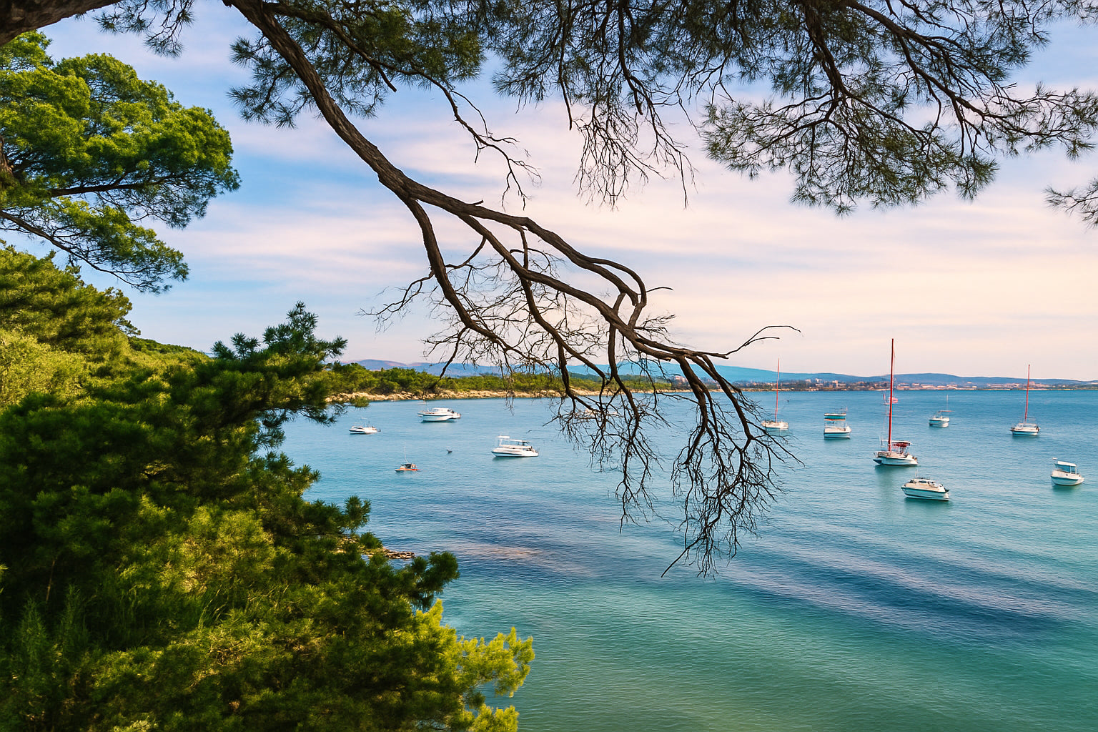 Branches de pin encadrant une baie calme à la presqu’île de Giens, bateaux au mouillage, couleur