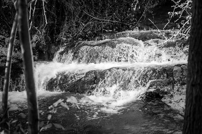 Petite cascade aux eaux émeraude sur la rivière de l’Arc entourée de végétation à Aix-en-Provence, noir et blanc