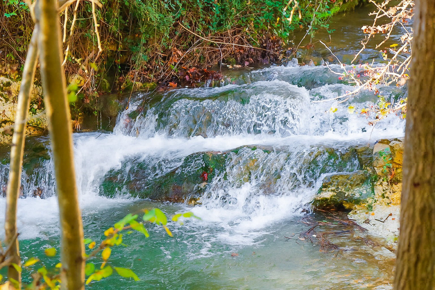 Petite cascade aux eaux émeraude sur la rivière de l’Arc entourée de végétation à Aix-en-Provence
