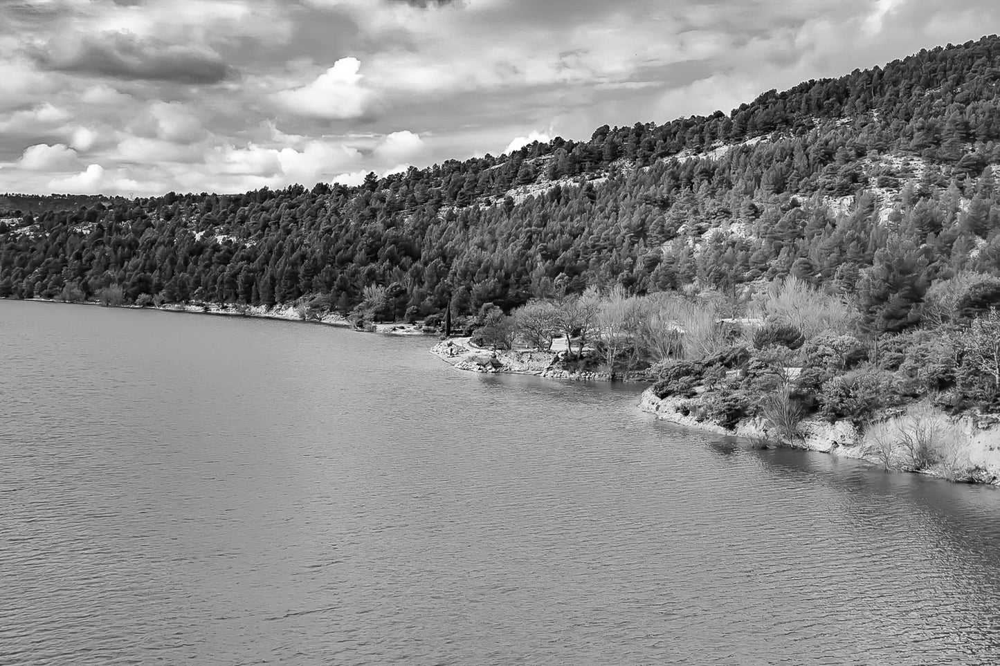 Rive du lac de Sainte-Croix aux eaux turquoise, bordée de pinèdes et de collines ocres, noir et blanc