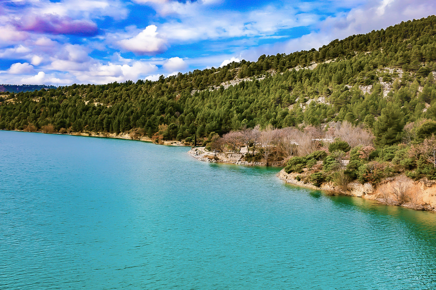 Rive du lac de Sainte-Croix aux eaux turquoise, bordée de pinèdes et de collines ocres