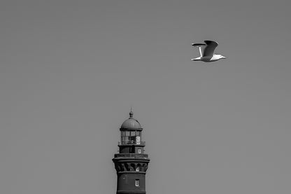 Goéland en vol passant devant un phare rouge sur fond de ciel bleu en Bretagne, version noir et blanc