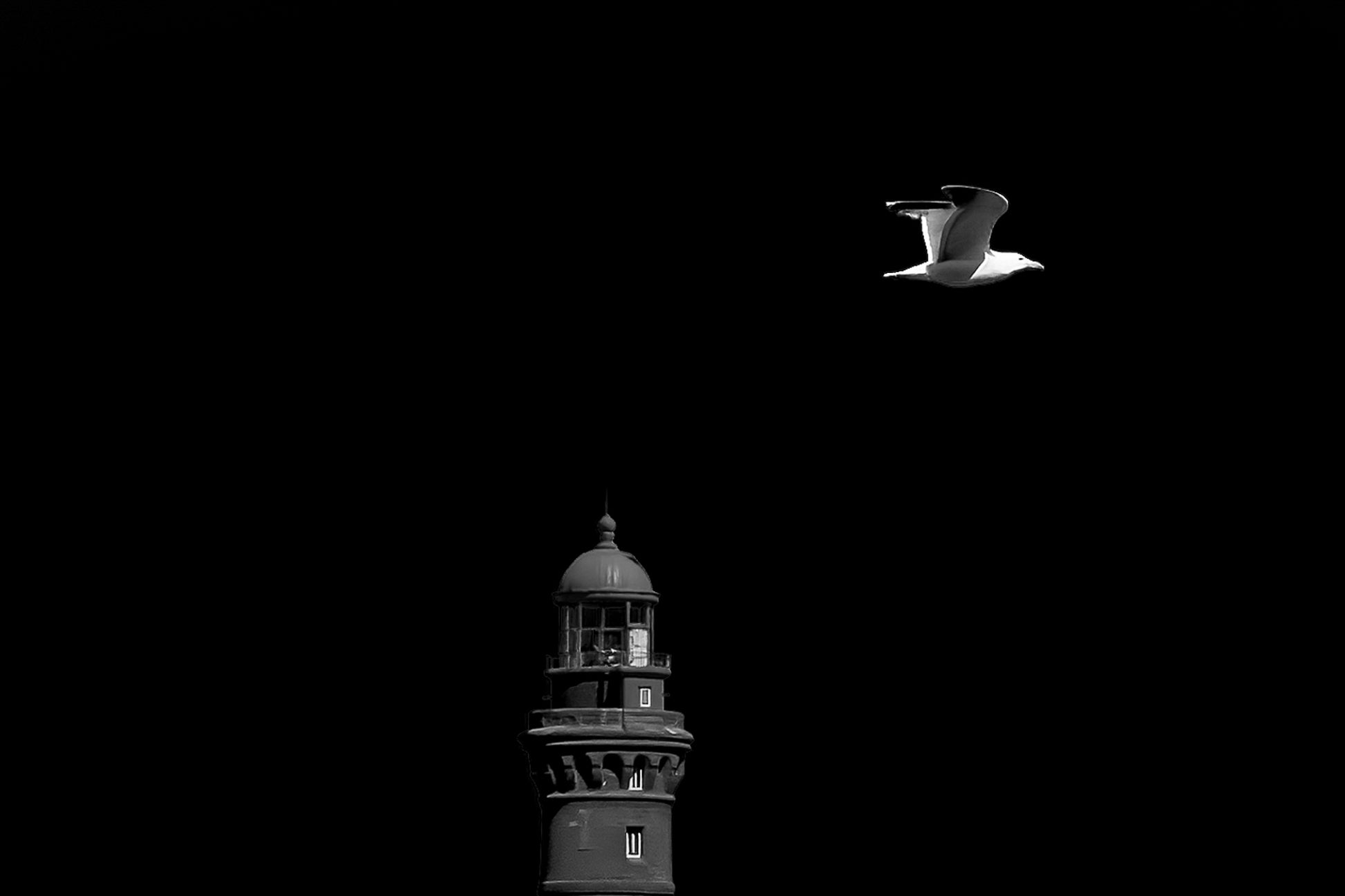 Goéland en vol passant devant un phare rouge sur fond de ciel bleu en Bretagne, version black édition