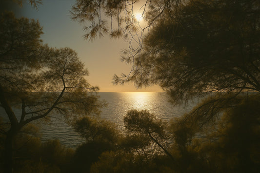 Branches de pins encadrant un soleil couchant au-dessus de la mer