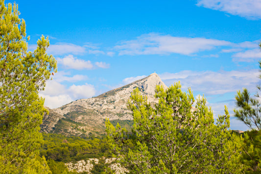 Sommet de la Sainte-Victoire se détachant derrière une forêt de pins sous un ciel bleu nuageux