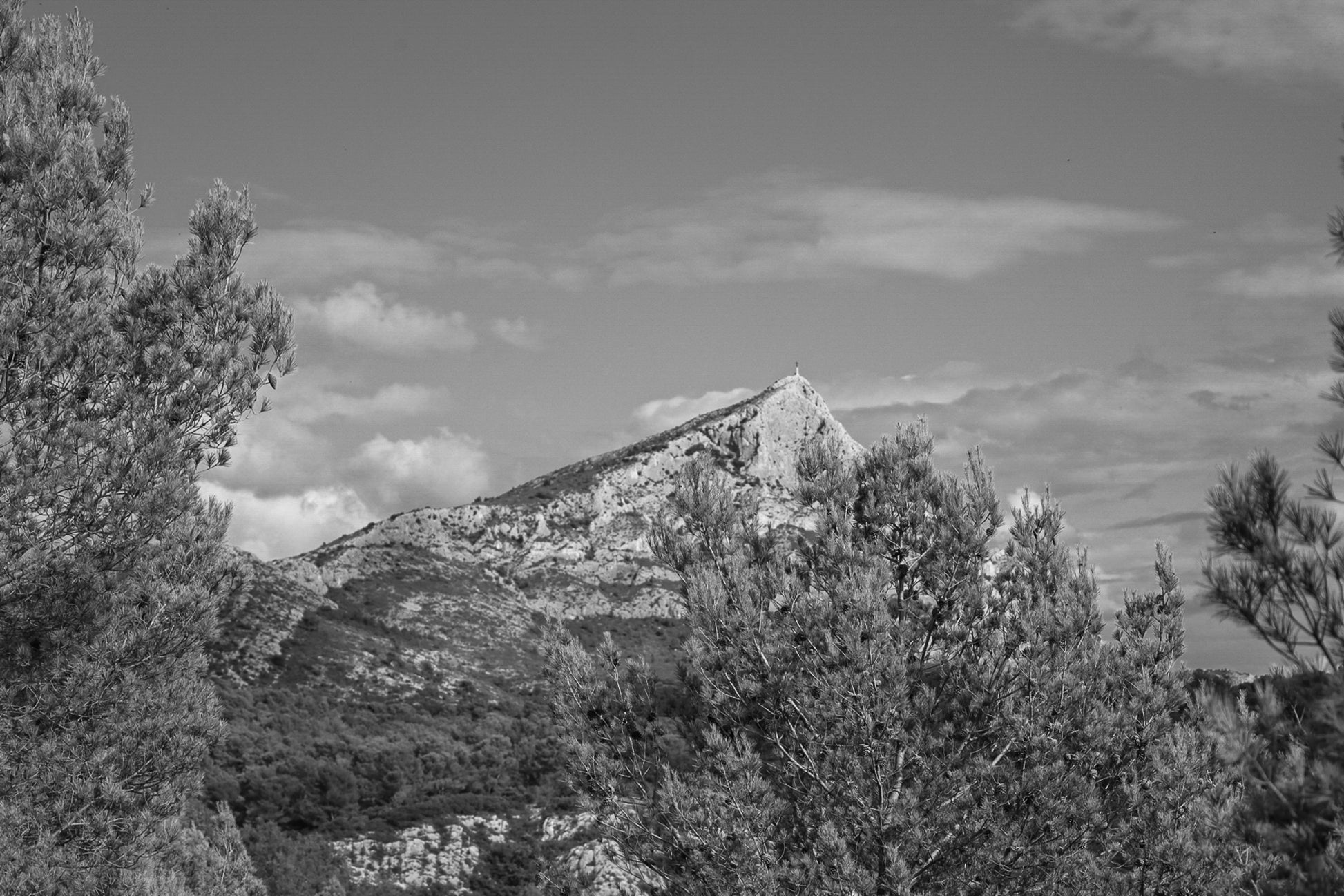 Sommet de la Sainte-Victoire se détachant derrière une forêt de pins sous un ciel bleu nuageux, noir et blanc