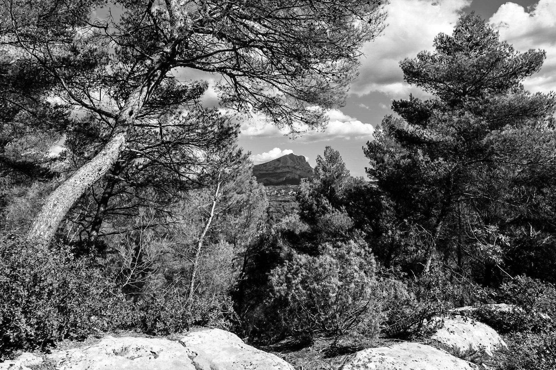 Vue lointaine de la Sainte-Victoire cadrée par des pins et des rochers en premier plan, noir et blanc