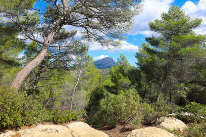 Vue lointaine de la Sainte-Victoire cadrée par des pins et des rochers en premier plan
