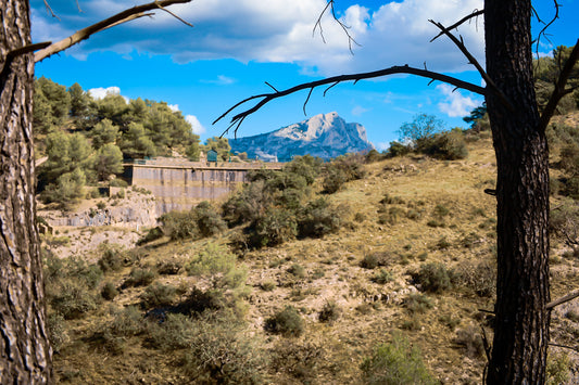 Branches de pins cadrant un paysage de garrigue, barrage et Sainte-Victoire au loin sous un ciel bleu.