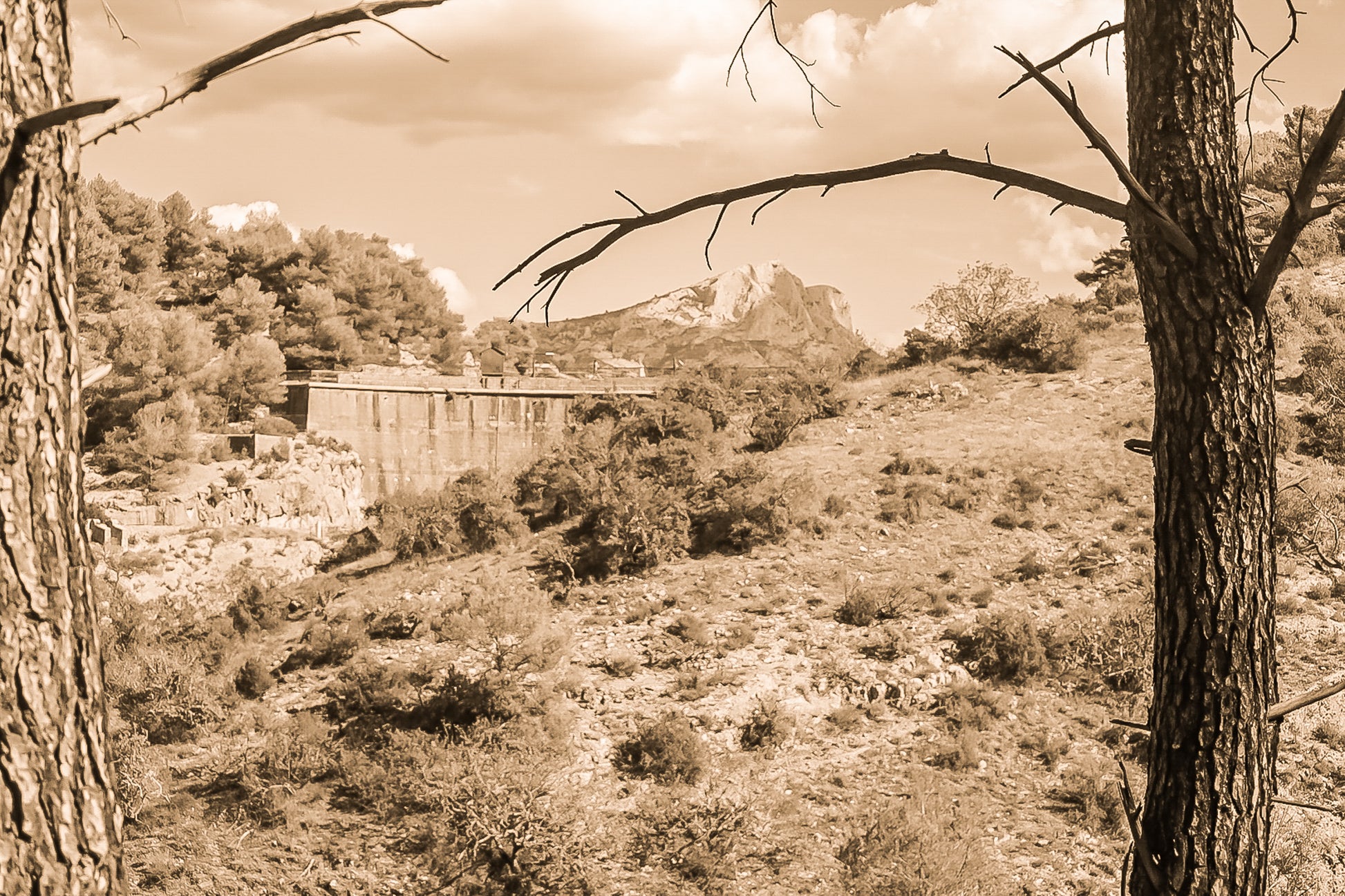 Branches de pins cadrant un paysage de garrigue, barrage de Zola et Sainte-Victoire au loin sous un ciel bleu, vintage
