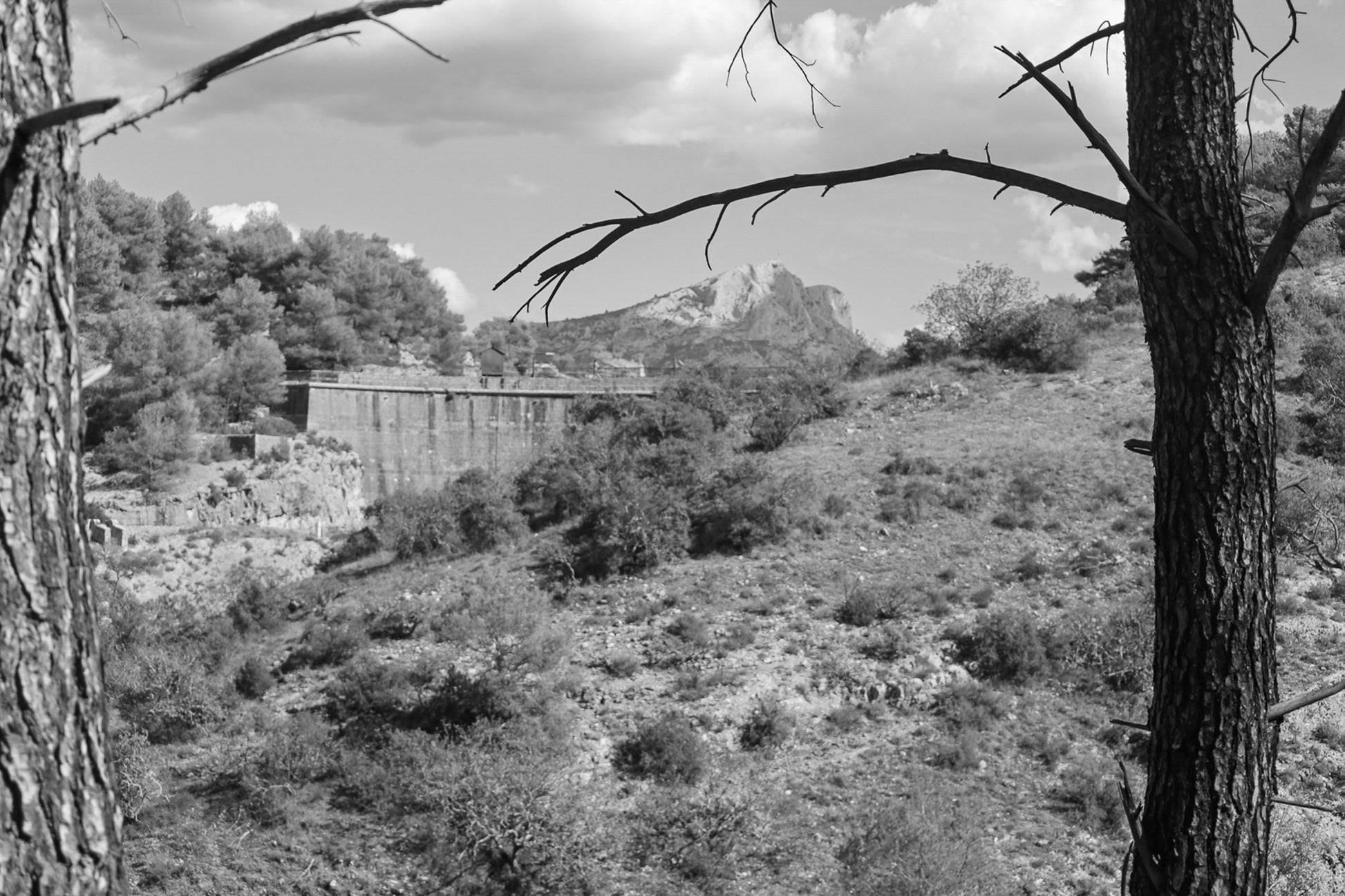 Branches de pins cadrant un paysage de garrigue, barrage de Zola et Sainte-Victoire au loin sous un ciel bleu, noir et blanc