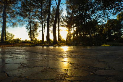 Rayon de soleil couchant glissant sur une dalle pierreuse, pins en arrière-plan à Bibemus