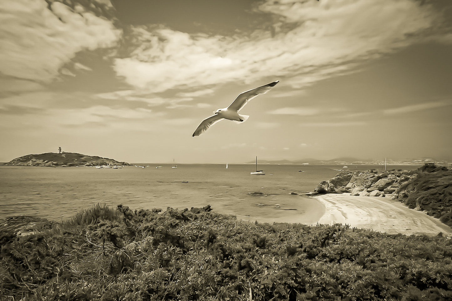 Goéland en vol au-dessus d’une crique avec le phare du grand rouveau au loin, rendu vintage sépia