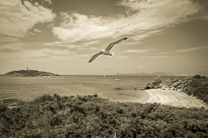 Goéland en vol au-dessus d’une crique avec le phare du grand rouveau au loin, rendu vintage sépia