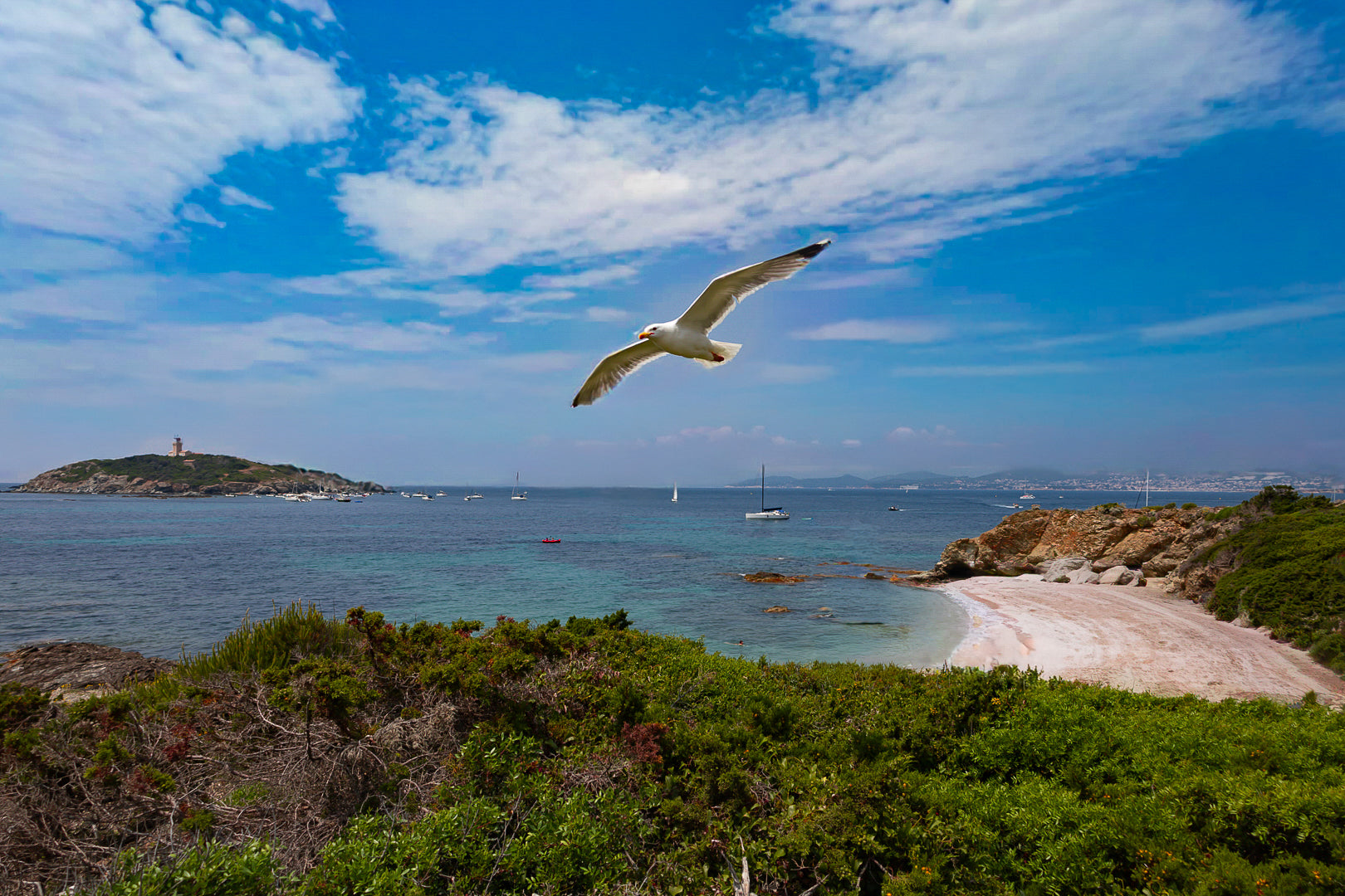 Goéland en vol au-dessus d’une crique avec le phare du Grand Rouveau au loin, couleur