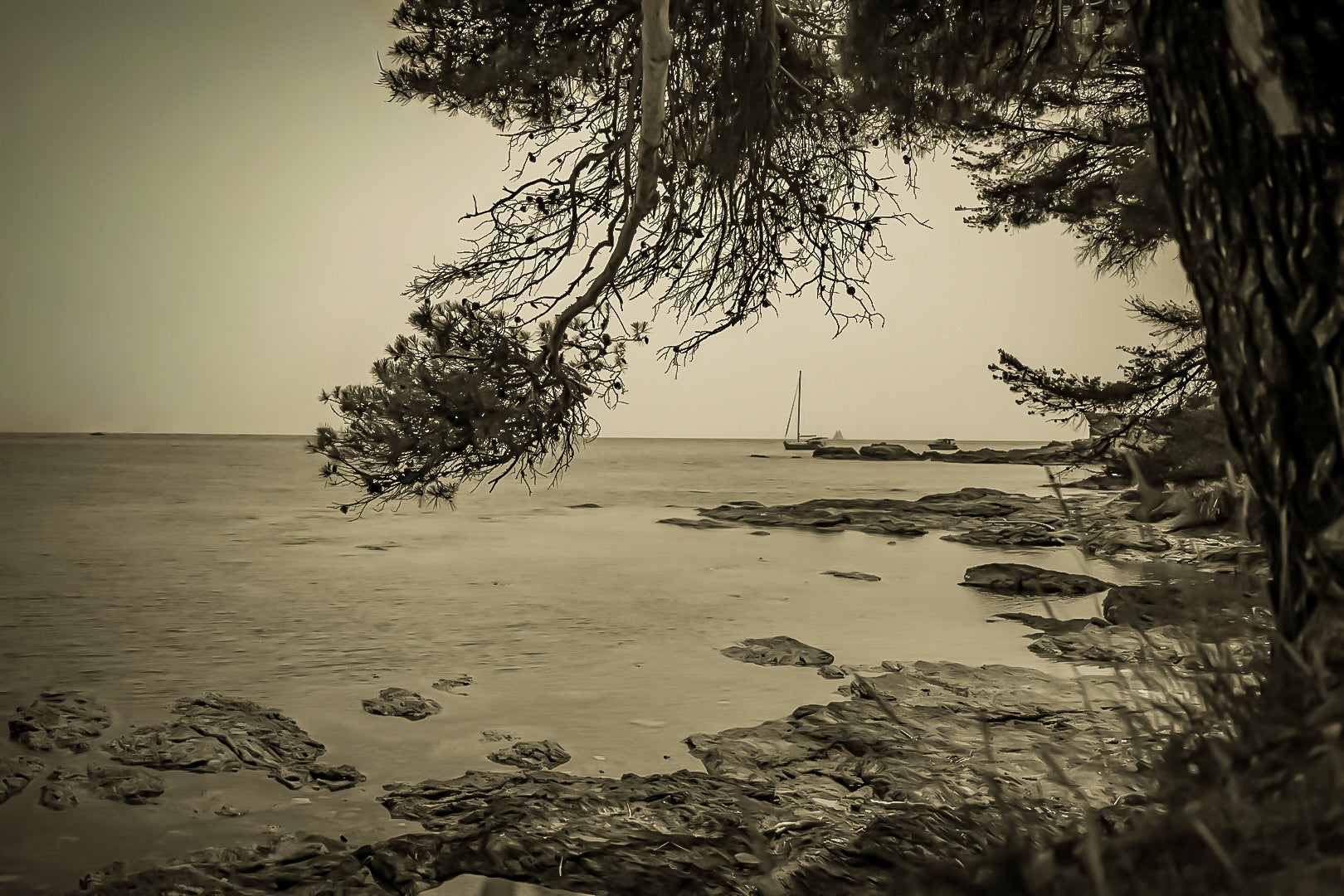 Branches de pin cadrant un rivage rocheux et un voilier au large, île des Embiez, style vintage