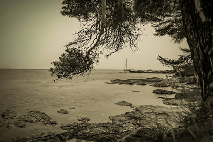 Branches de pin cadrant un rivage rocheux et un voilier au large, île des Embiez, style vintage