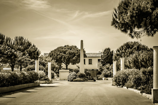 Allée bordée de colonnes et végétation méditerranéenne, île des Embiez, traitement vintage