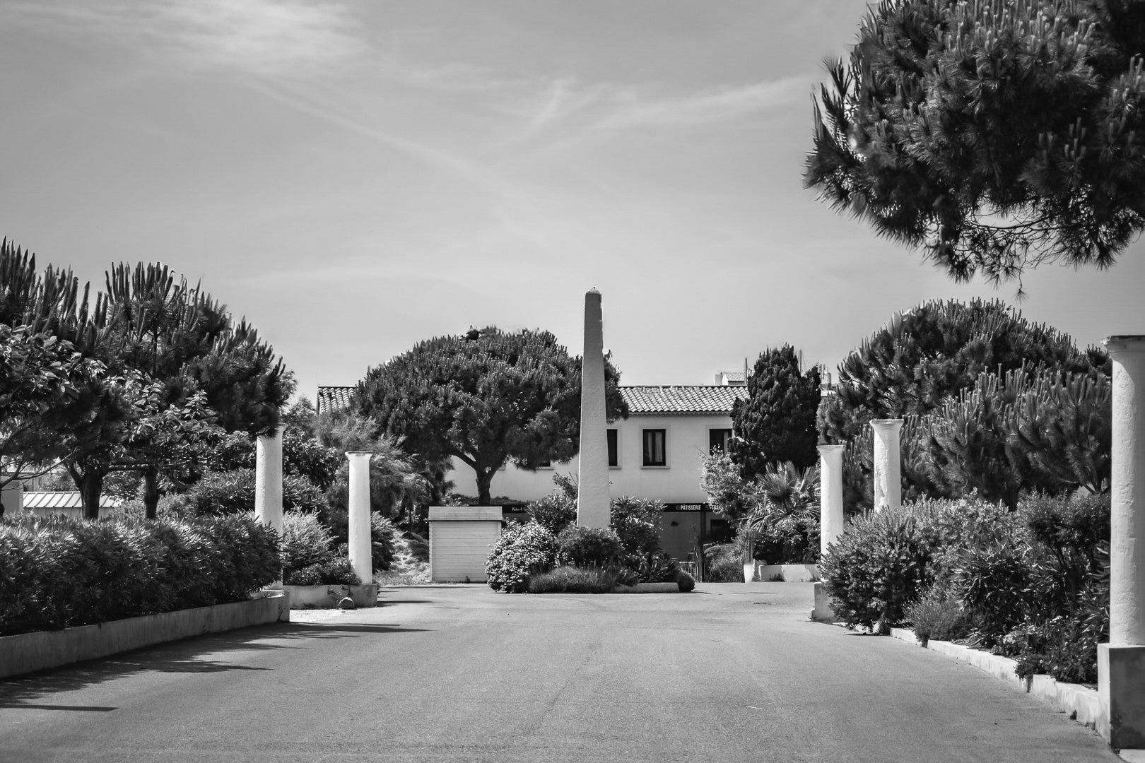 Allée bordée de colonnes et végétation méditerranéenne, île des Embiez, noir et blanc