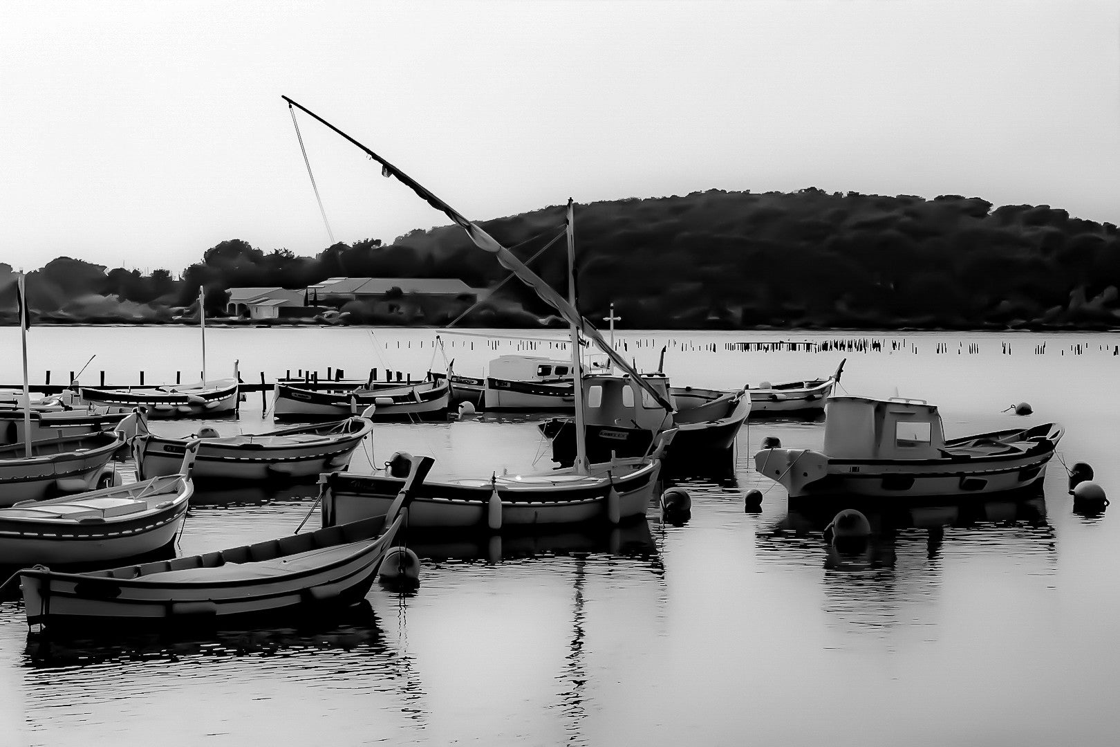 Barques traditionnelles serrées au port du Brusc au coucher du soleil, reflets dorés, noir et blanc