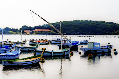 Barques traditionnelles serrées au port du Brusc au coucher du soleil, reflets dorés, couleur