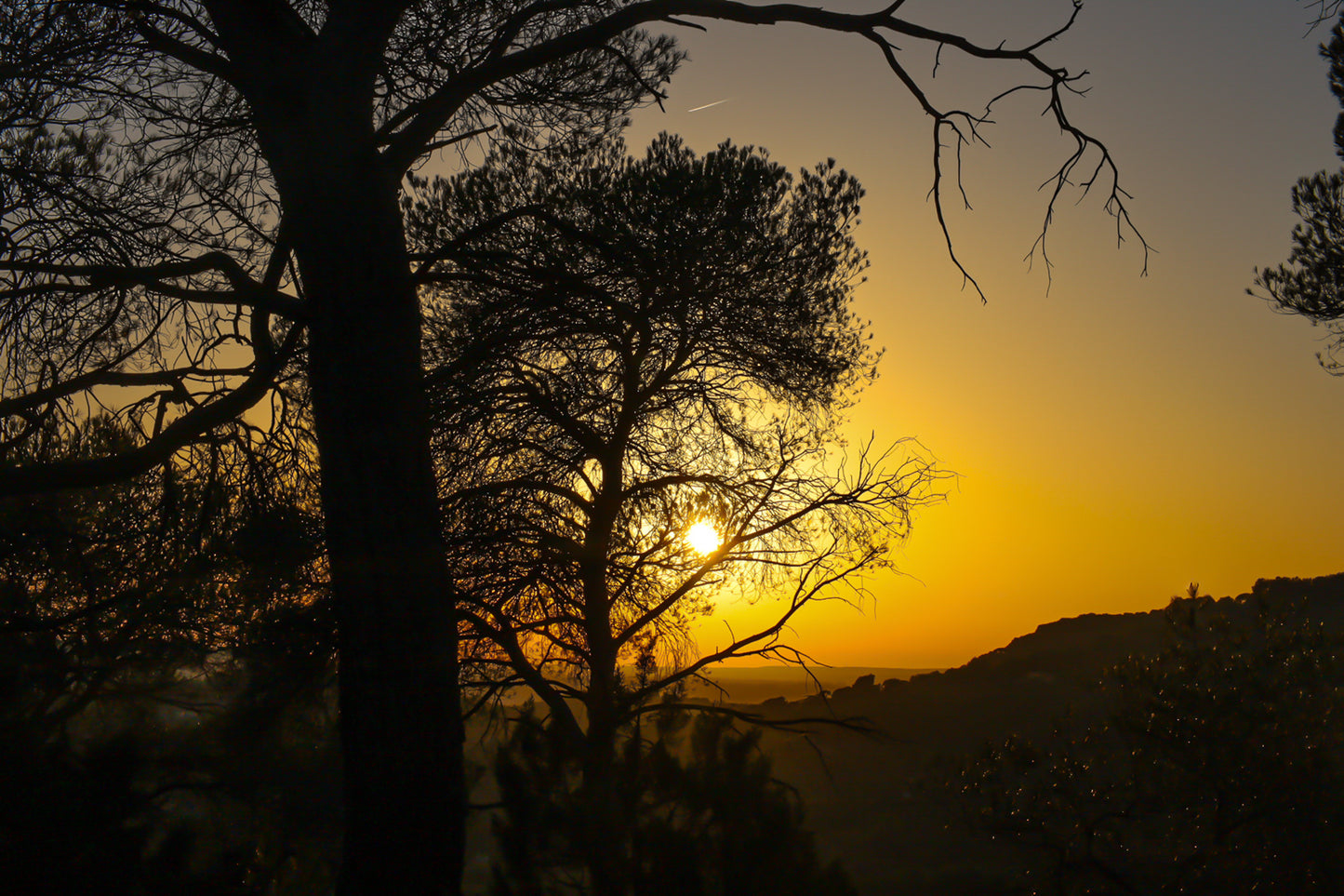 Soleil couchant visible entre les pins, reliefs d’Aix en arrière-plan